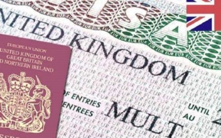 British High Commission says over 430,000 Nigerians received visa approvals in 2024- NIDCOM
