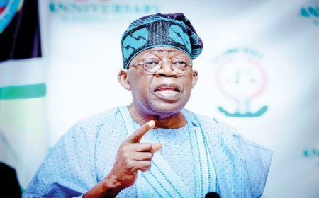 Fuel imports gulp N2tn monthly – FG