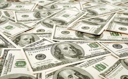 Net FX flows increase by 55% to $25.4 billion in six months – CBN