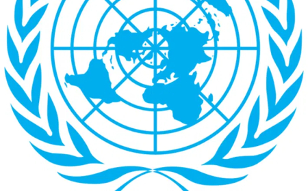 UN approves first treaty targeting cybercrime