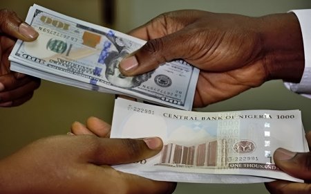 Top 10 Banks that got highest FX from CBN’s latest Retail Dutch Auction