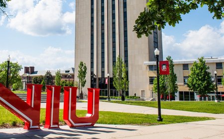 APPLY NOW – Northern Illinois University Scholarship in USA 2024