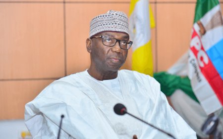 Kwara partners feed firm on soybean production