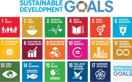 ‘Nigeria lagging behind in sustainable development goals’