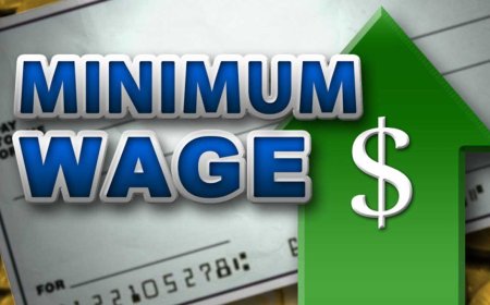27 states, FCT yet to set up minimum wage panels