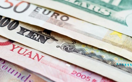 Group seeks business reforms to boost forex inflows