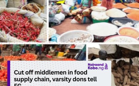 Cut off middlemen in food supply chain, varsity dons tell FG