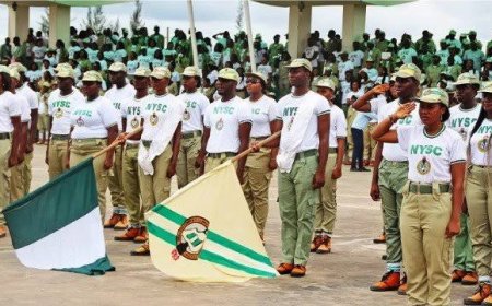 NYSC invalidates 101 certificates issued fraudulently by UNICAL
