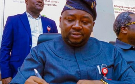 Japan invests $500m to boost power supply in Ogun