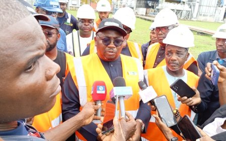 Minister assures Nigerians of stable power supply