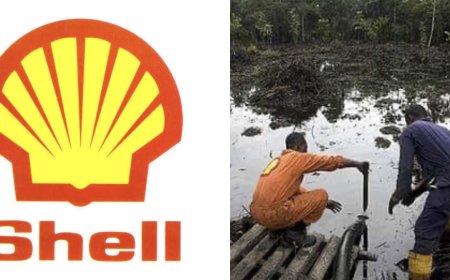 Bayelsa: Shell accuses thieves of causing oil spill in Imiringi