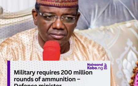 Military requires 200 million rounds of ammunition –Defence minister