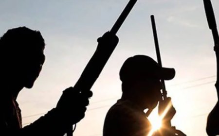 JUST IN: Gunmen kidnap over 20 medical students in Benue