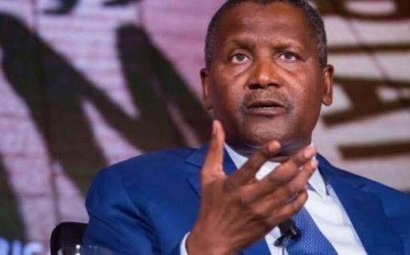 Aliko Dangote’s Wealth Down by $1.2 Billion in 2024