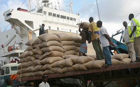 Customs lists conditions for companies seeking to participate in duty-free food import