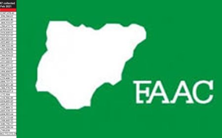 JUST IN: FAAC disburses N1.36tn to FG, states, LGs in July