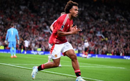 EPL: Man Utd beat Fulham 1-0 in opening game