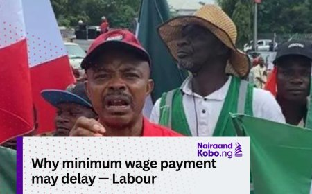 Why minimum wage payment may delay — Labour