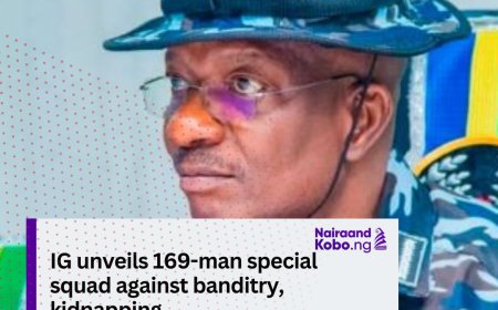 IG unveils 169-man special squad against banditry, kidnapping