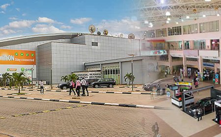 Cargo export: Bi-Courtney buys storage facility