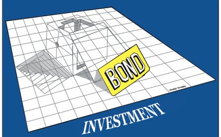 FG demands BVN, NIN for $500m bond subscription