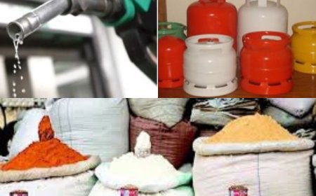 FULL LIST: From fuel costs to passport fees, Nigerians struggle under price hikes yoke
