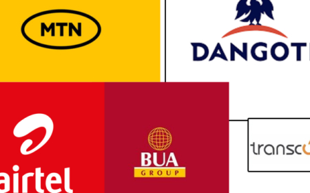 Nigeria’s most valuable companies face N4.6 trillion debt surge