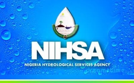 FG warns states as River Niger water level rises