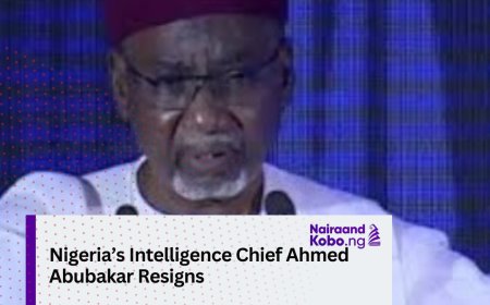 Nigeria’s Intelligence Chief Ahmed Abubakar Resigns