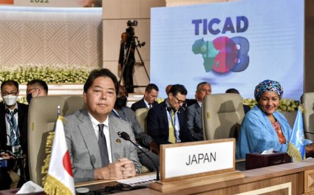Japan Expresses Interest in Start-Ups in Nigeria