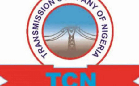 Over 100 transmission towers vandalised in Kaduna – TCN
