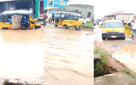 Surveyors blame corruption for infrastructure failure