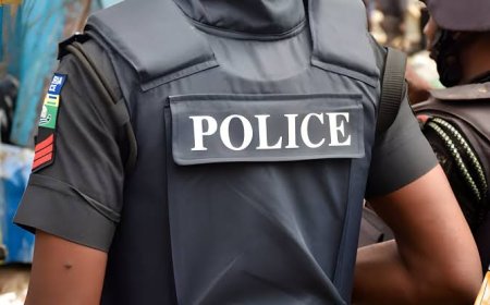 Police arrest 97 Shiite members after attack on officers in Abuja