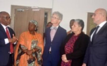 Belgium working to boost cocoa production in Nigeria: Ambassador