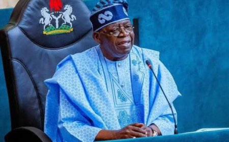 Key sectors driving Nigeria’s economic growth since Tinubu became President