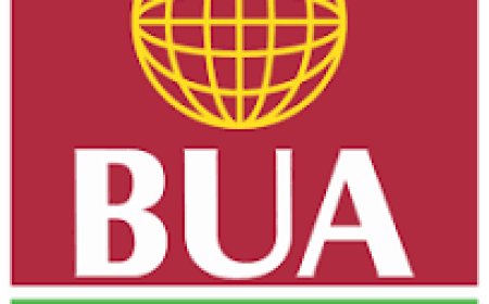 BUA partners Turkish firm on wheat flour milling