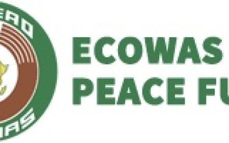 ECOWAS convenes meeting for funding peace, security
