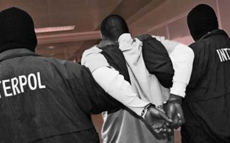 Interpol arrests 300 individuals connected with Black Axe, Nigerian-founded confraternity