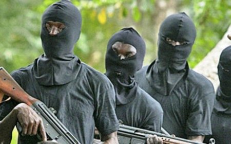 Armed men invade Abuja home, kidnap family of four
