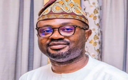 Nigeria needs 500,000 firefighters, says minister