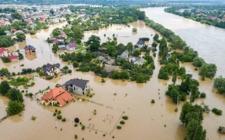 Flood destroys over 2500 houses and 1000 hectares of farmlands in Gombe state