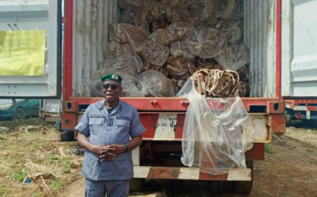 Nigeria Customs seizes N8 billion worth of smuggled donkey skins, others in July 2024