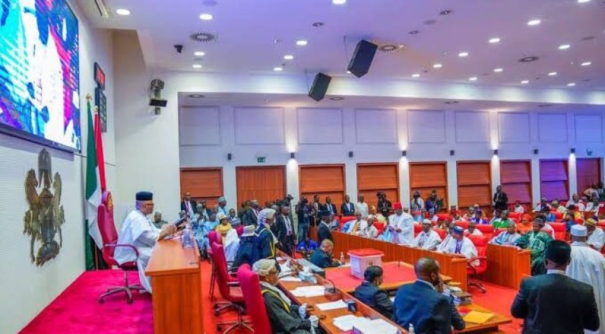 Senate passes bill to double Ways and Means borrowing limit to 10% of FG revenues