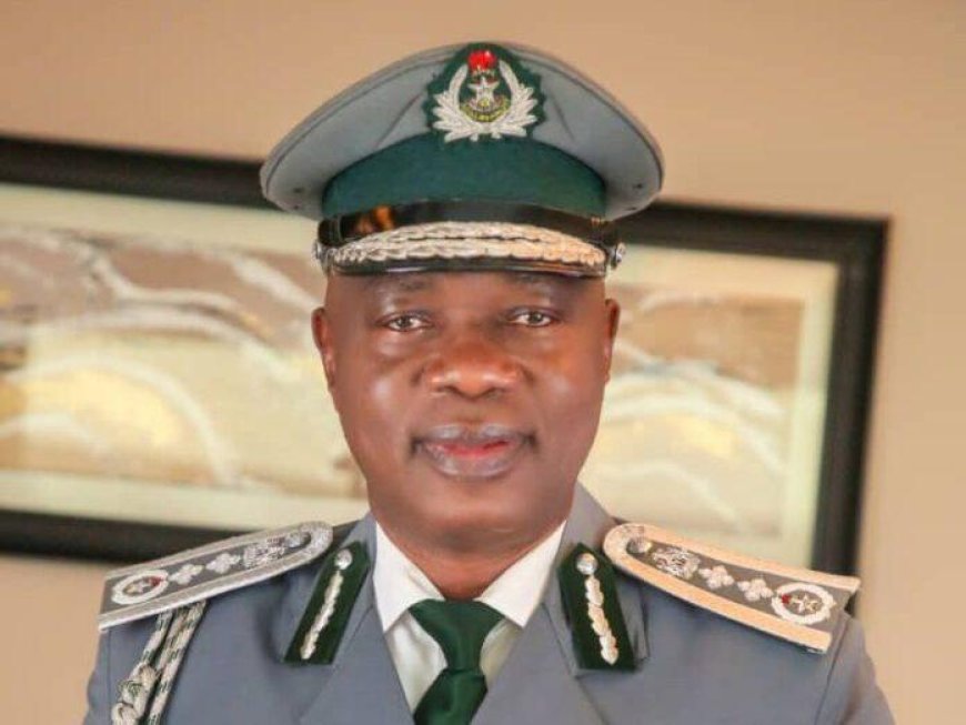 Duty waiver: Nigerian farmers’ interest must be considered – Customs CG