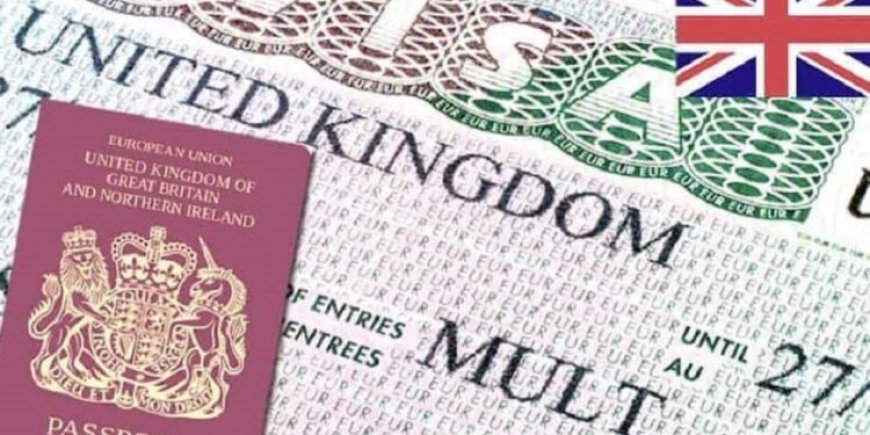 British High Commission says over 430,000 Nigerians received visa approvals in 2024- NIDCOM