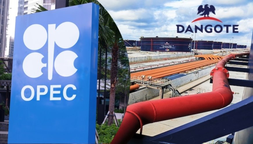 OPEC: Dangote Refinery To Challenge Europe’s Oil Industry And Shake Up Global Oil Flows