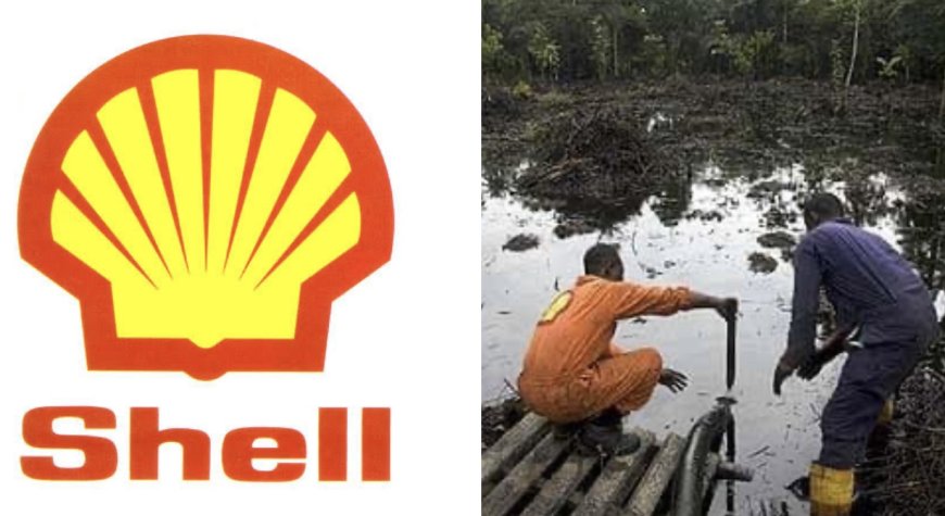 Bayelsa: Shell accuses thieves of causing oil spill in Imiringi