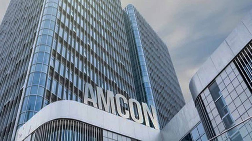 Reps advocate judicial taskforce to aid AMCON debt recovery