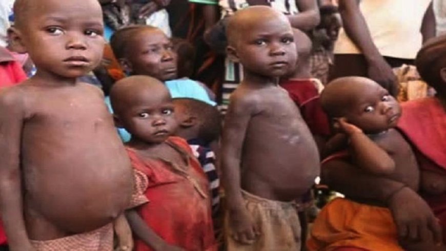 Four million children in North-East, North-West malnourished: FG