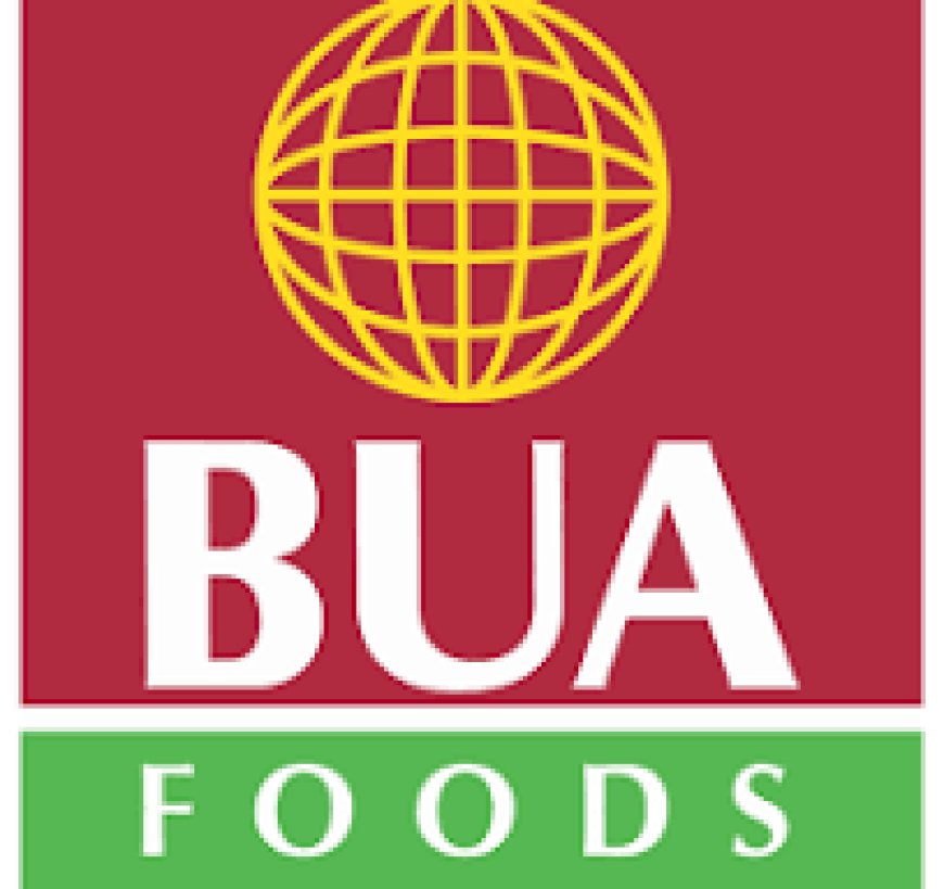 BUA partners Turkish firm on wheat flour milling